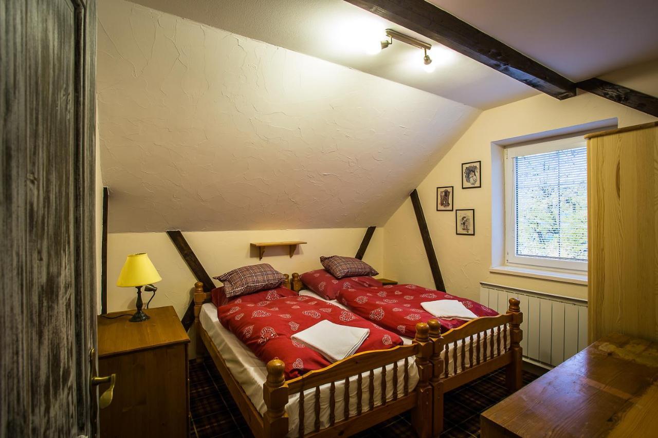 Cactus Snezienka Regetovka Room photo